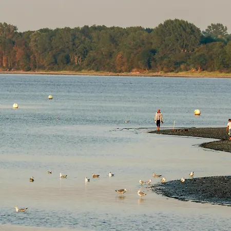 Hébergement de vacances Schatzkiste 11 - Dorf 4 *